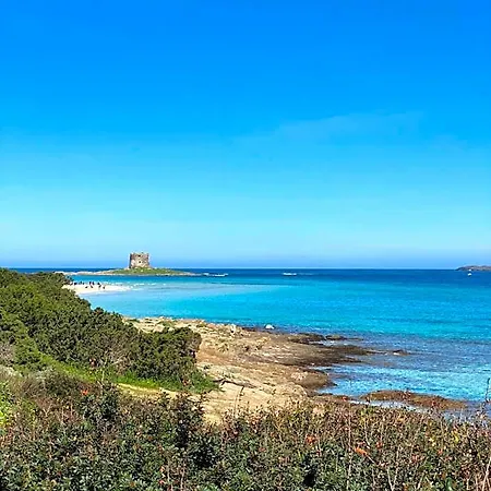 Mare Di Fuori Stintino